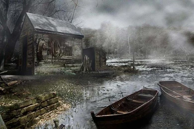 Misty Forest   Flikie Wallpapers