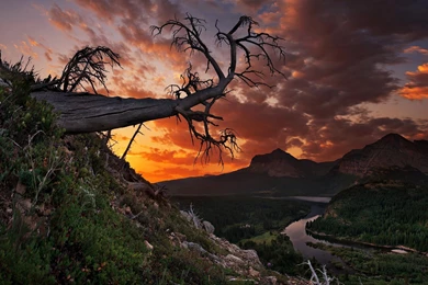 Sunset Mountains Trees Landscape Park Montana Glacier Glacier ...