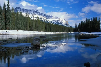 Hi Def Pictures   Desktop Backgrounds