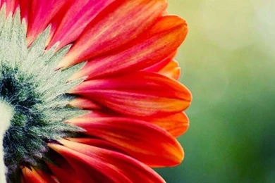 1080x1920 Nice Wallpapers HD Page 7