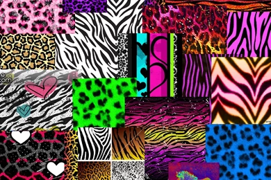 Rainbow Cheetah Print Wallpapers   Wallpapers Zone