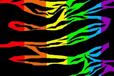 Rainbow Zebra Print By Candi 404 On DeviantArt