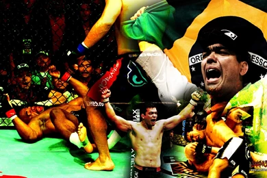 The Mjolnir Wielder's Profile