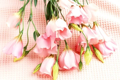 Best 12 Cute Capls Pic Com