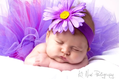 Girl Cute Take Rose Flower Wallpapers Kids