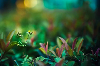 Beach Life Wallpapers