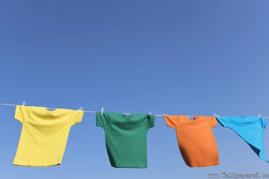 Seaside Life － Living Wallpapers   Free Download Wallpapers ...