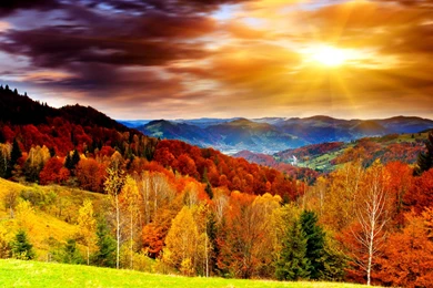 Top Autumn Pictures   Designs And Decors