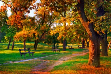 Autumn Free Wallpapers   Autumn Colors Wallpapers   HD Wallpapers 93185