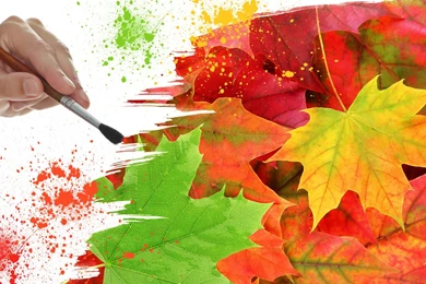 Painting Autumn Colors >> HD Wallpaper, Get It Now!