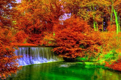 21+ Autumn Wallpapers, Backgrounds, Images