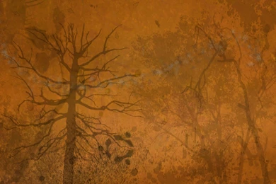 My Wallpaper. ( Open For Suggestions)