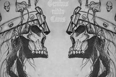 King Of Kings Triple H Graphics And Comments