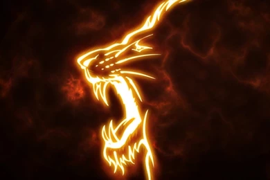 Wallpapers Tyga The Last King Kings 1024x768