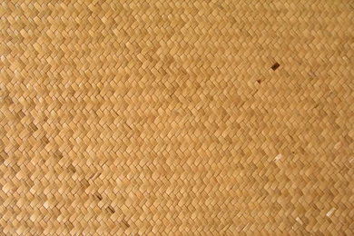 Other Plant Related 3dstudio Max Textures