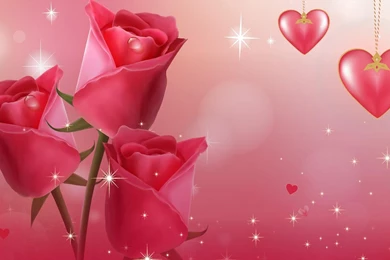 New Rose Wallpapers 43, Rose Flower Images, Rose Pictures And ...
