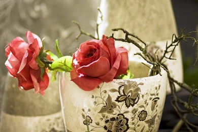 Wallpapers Coples New Rose Couple Hd 2560x1600