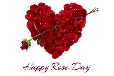 Happy Rose Day 2015 New Wallpapers Download