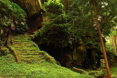 Extra Wallpapers Mystic Forest