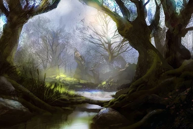 Mystical Forest Image For Free Id: 1834   7HDWallpapers