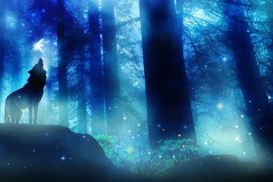 RePin Image: Mystic Wolf By Shadowsecret On Pinterest