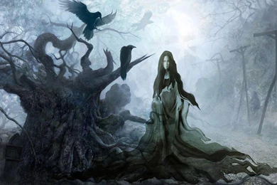 A WITCH IN A MYSTICAL FOREST WALLPAPER   (