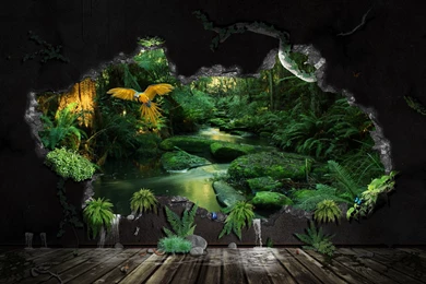 The Forest Wallpaper Backgrounds