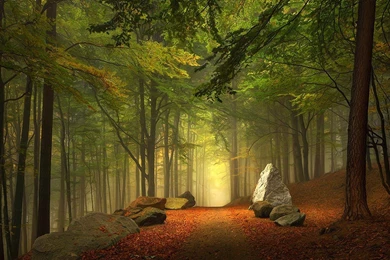 Forests: Mystical Forest Autumn Path Boulders Mist Wallpapers ...
