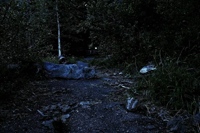 Dark Mystical Forest Wallpaper,woods HD Wallpaper,mystical HD ...