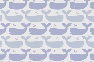Whales Wallpapers By Wall library