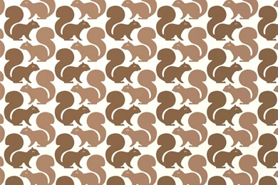 Aimée Wilder Squirrels Latte Wallpapers Wallpapers