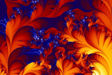 Desktop, Background, Laptop, Fractal, Abstract, Brain (