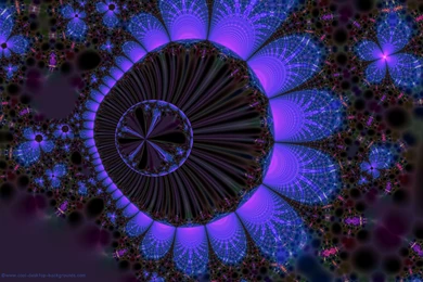 Undersea Fractal   Fractal Desktop Backgrounds   1920x1080 Pixels