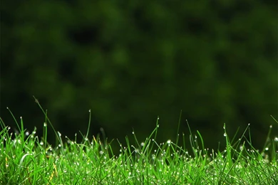 Best Wallpapers Hd For Android Phones,desktop Wallpapers