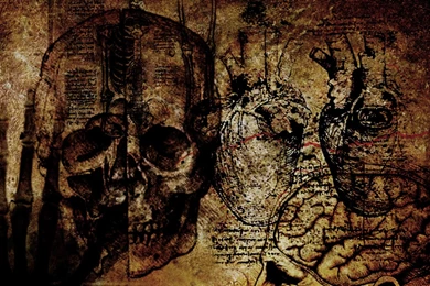 Medical Wallpapers Related Keywords & Suggestions   Medical ...