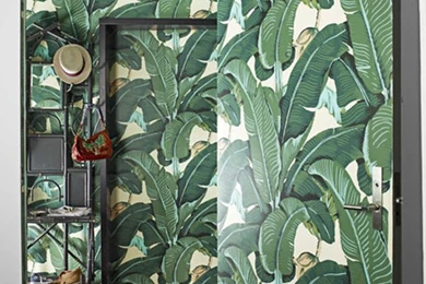 Palm Leaf Wallpapers