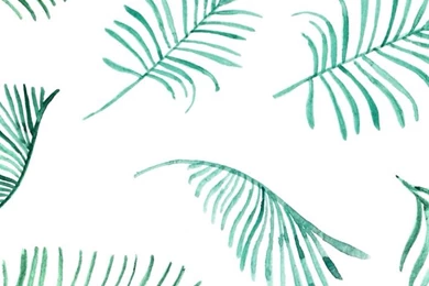 Palms By Wellen Women