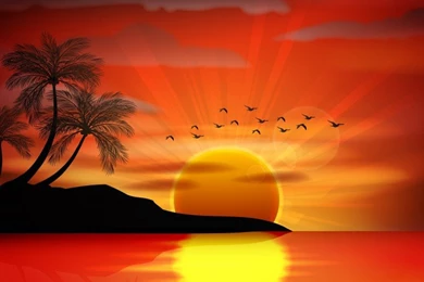 Sunset Sea Paradise Tropical Island Palms Silhouette Birds Sea ...