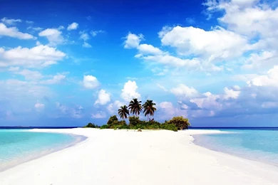 Paradise Live Wallpapers   Android Apps On Google Play