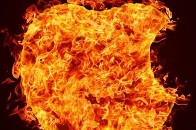 Apple Wallpapers For iPhone 6 Plus 417, iPhone 6 Plus Wallpapers