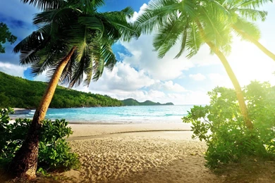Paradise Live Wallpapers   Android Apps On Google Play