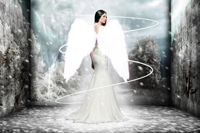 Best Wallpapers Collection: Best Angel Wallpapers