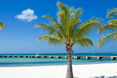 Road Trip: Florida   Social Road Trips