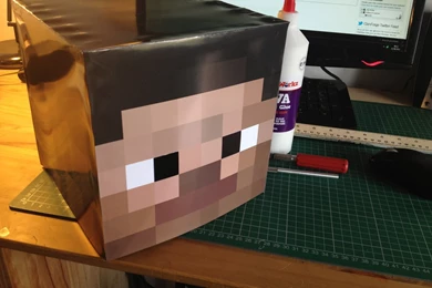 Minecraft steve head mask.JPG