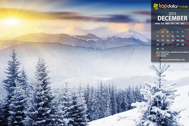 Top Dollar Mobile UK