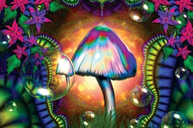 Cool Trippy Mushrooms