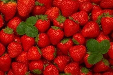 325 Strawberry HD Wallpapers