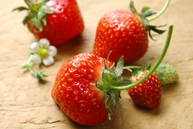 Strawberry Wallpapers