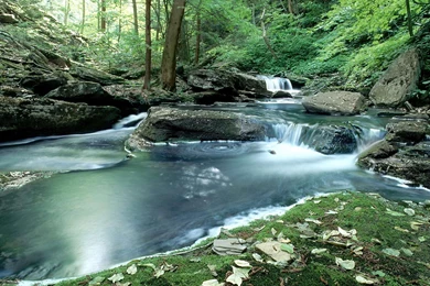 Desktop Wallpapers · Gallery · Nature · Rapid Mountain Stream ...