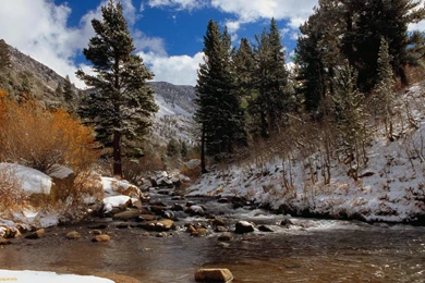 Mountain Stream Winter   HD Wallpapers